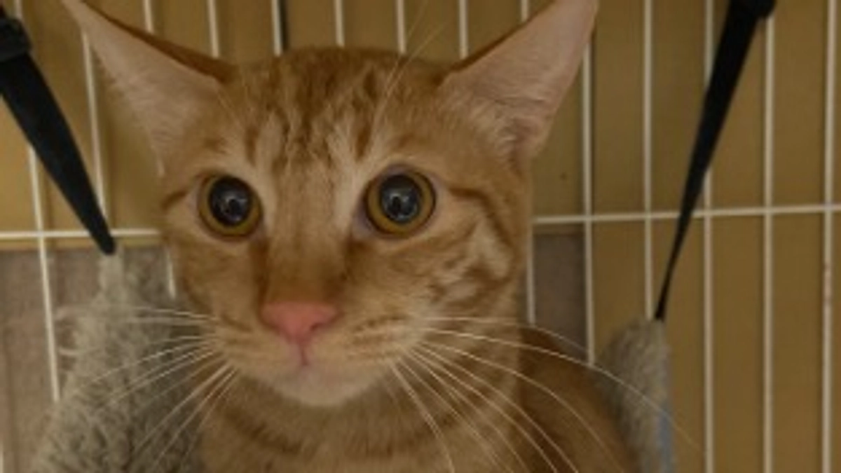 3回目の通院日でした。