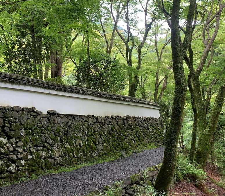 朝日新聞デジタル版にて取材記事をご配信頂きました。