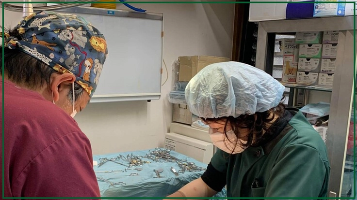 人も動物も幸せな未来へ。救えない命の為の動物診療所と里山拠点づくり 4枚目