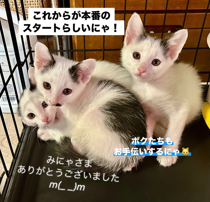 あと２時間半　まだ少し皆んなで走って楽しんでゴール❣️