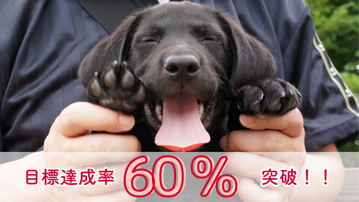 【60%突破】皆様からの応援コメントをご紹介します！