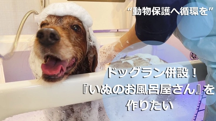 “動物保護へ循環を” ドッグラン付『犬のお風呂屋さん』を作りたい！