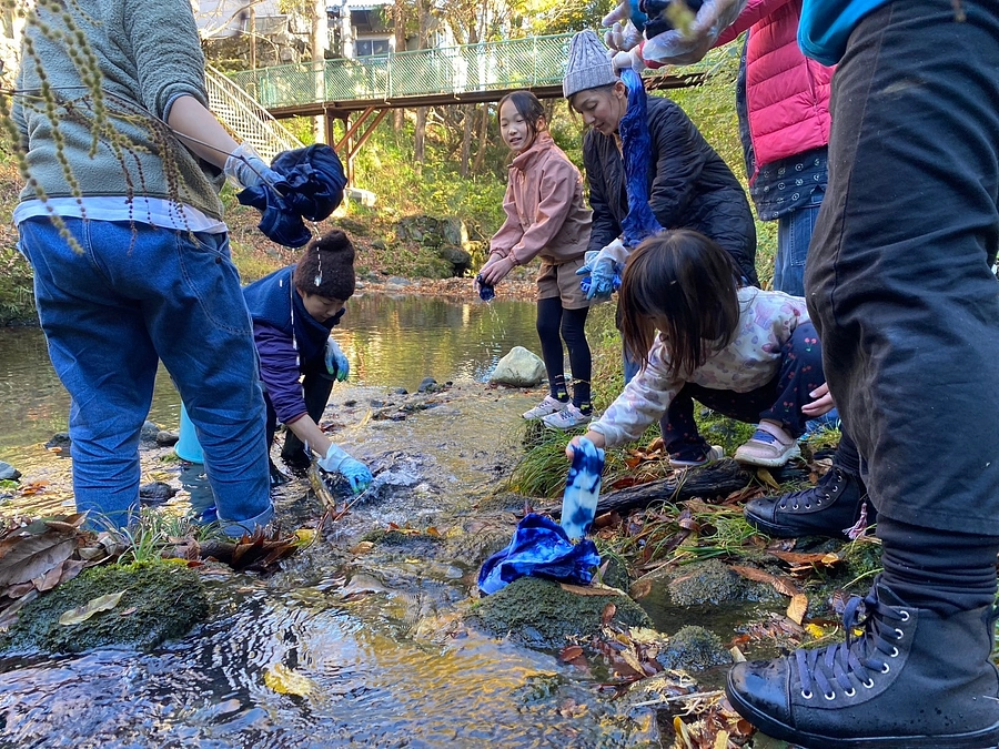 【森のお便り12月号②】11月藍染め体験会を開催させていただきました