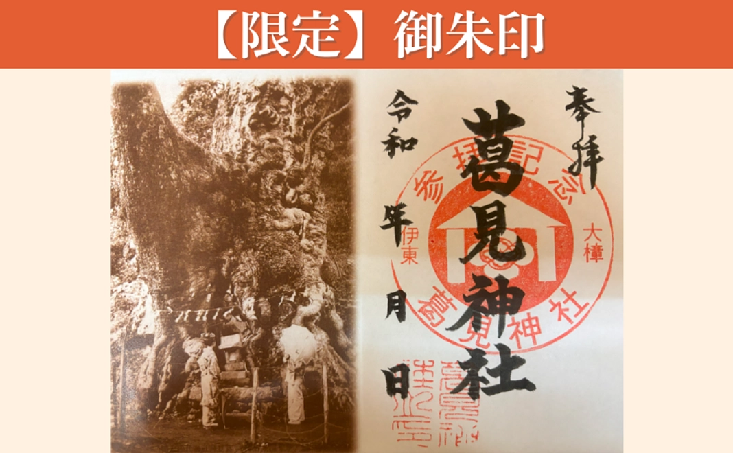 【大樟保全事業記念】御朱印コース