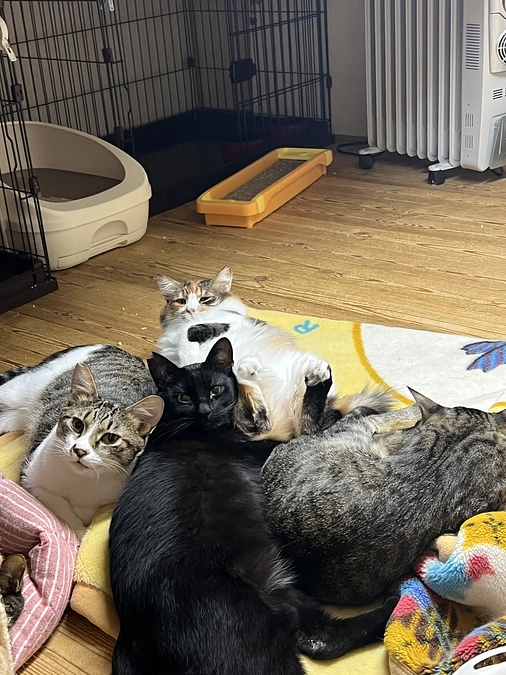 リターン品の発送と遅延について