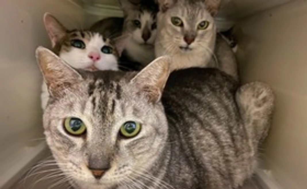 ★ 毎月応援 5000円コース