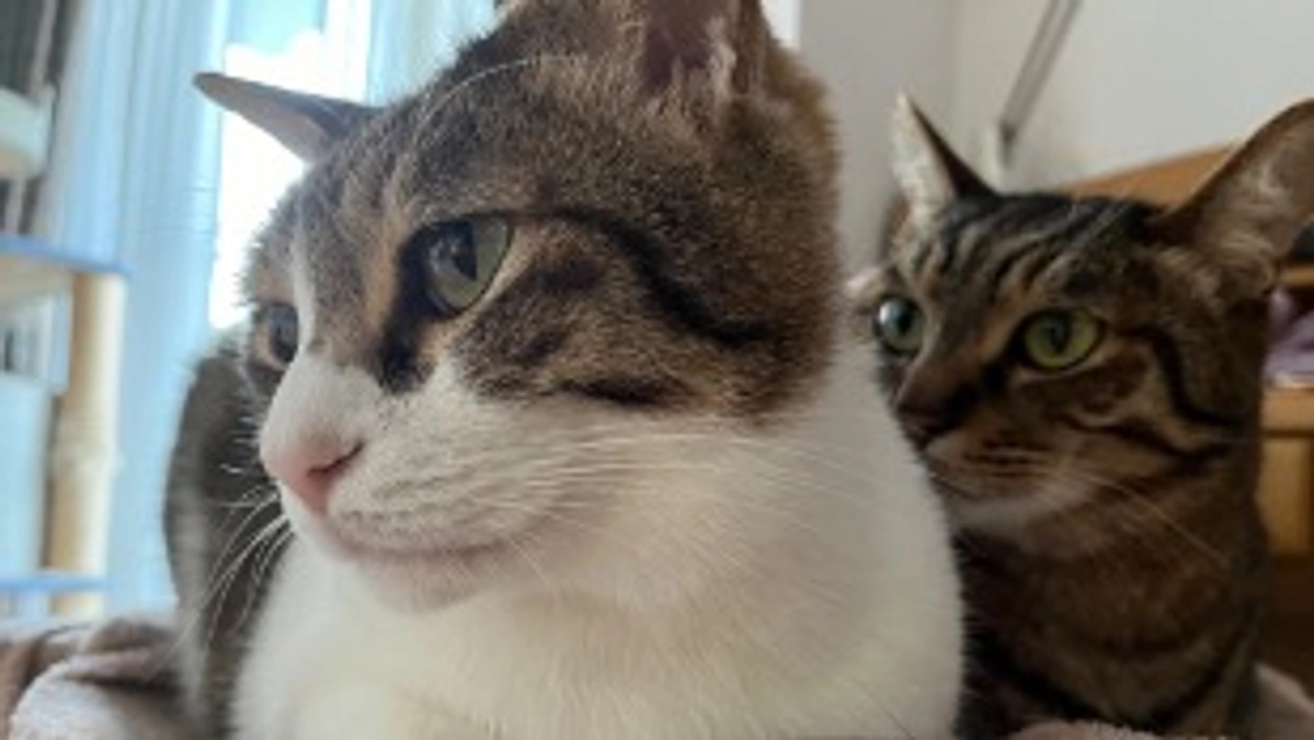 【通院記録】3月4日