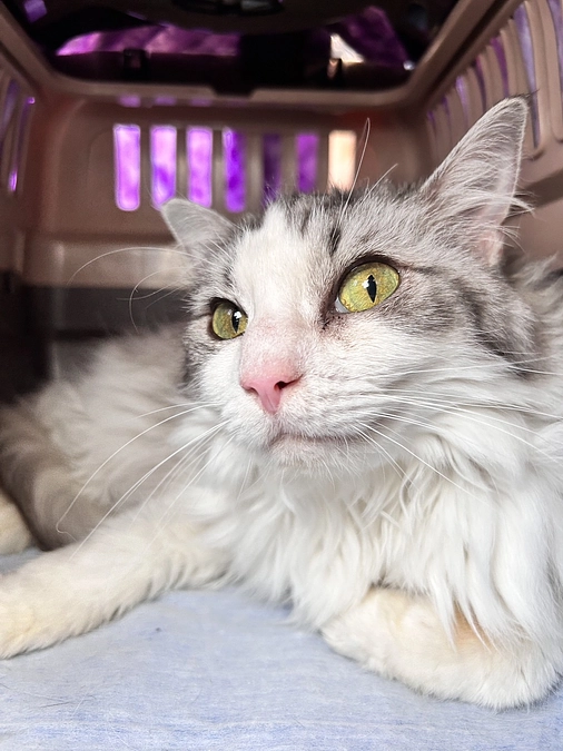 プロジェクト募集期間が終了しました！