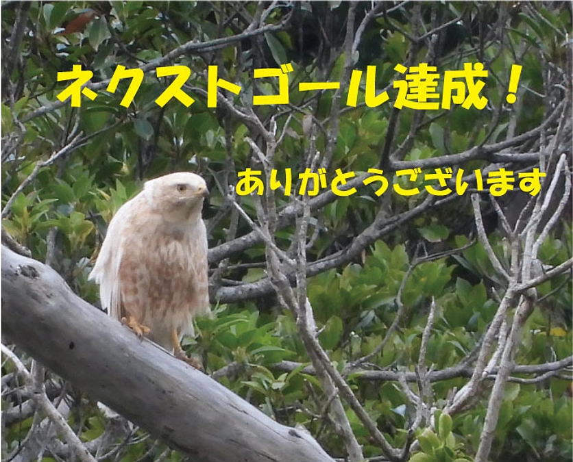 ネクストゴール達成＆支援者累積300名達成！