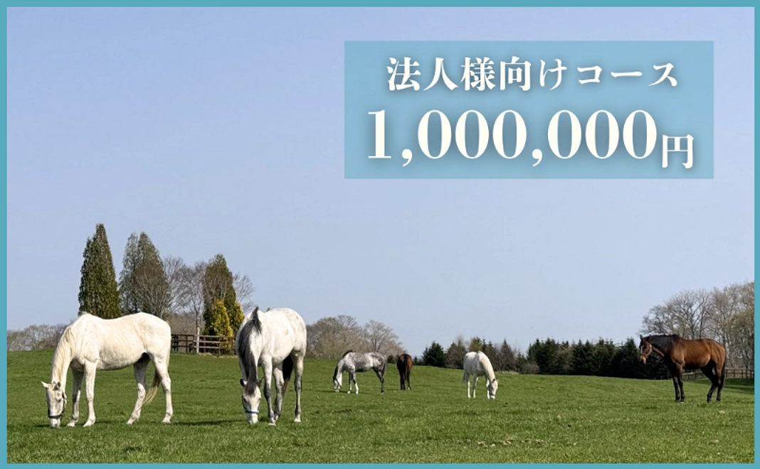 法人様向けコース｜1,000,000円
