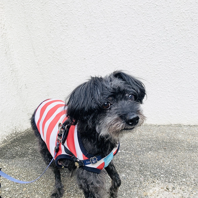 インスタライブ今晩いたします。