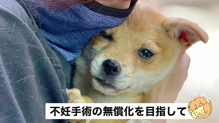 不幸ないのちを減らすため香川県初のスペイクリニックを開設したい。