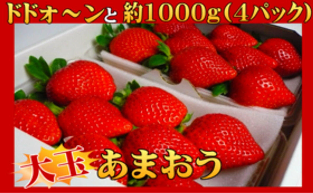 秀品あまおう約270g×4パック[M～3L]6～9玉入×4パック