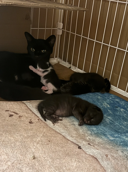 ご支援本当にありがとうございます。