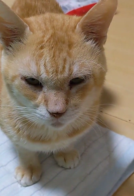 市行政との関わり