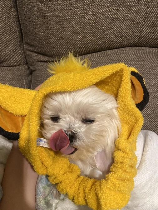 プロジェクトの残りの週 萌ちゃんの応援もよろしくお願いします🥰