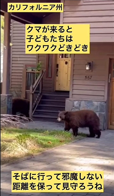 映像作成進捗報告