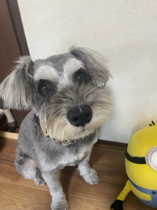 もうすぐ術後1ヶ月！