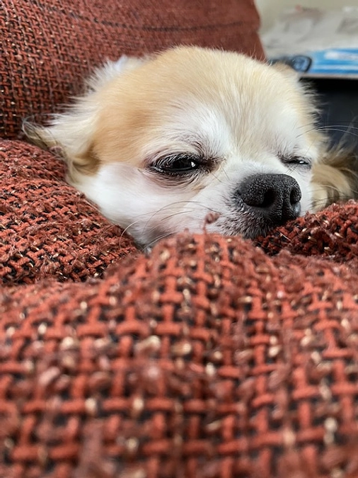 一緒にがんばろう❣️