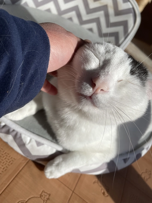 ありがとうございます達成出来ました