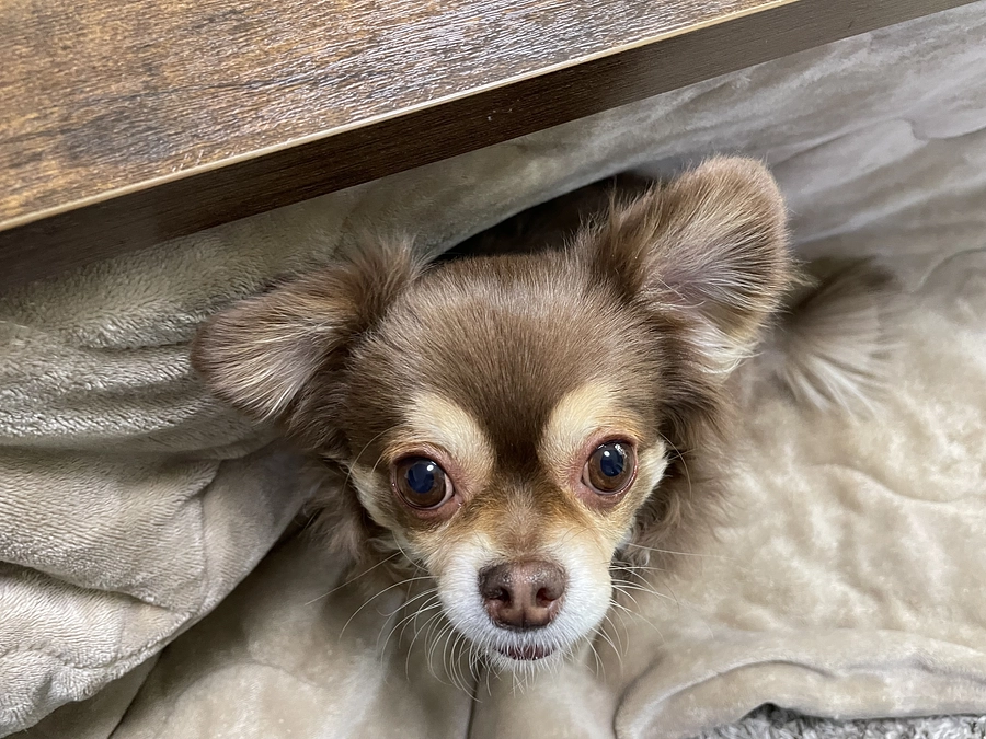 手術入院1日前&支援者のご来訪