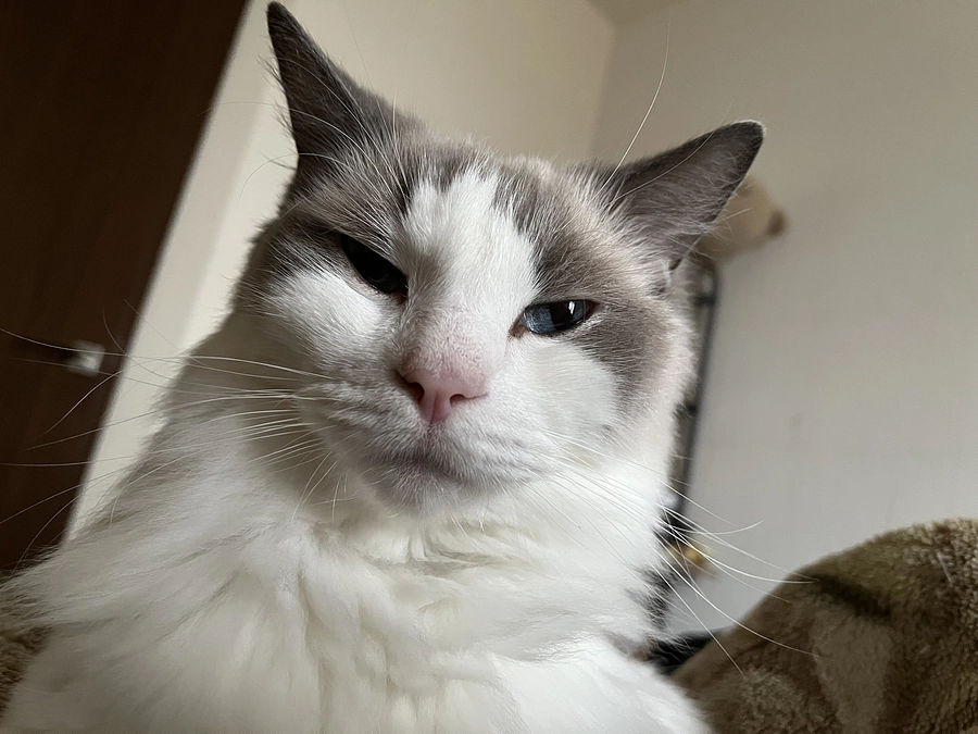 尿培養検査結果