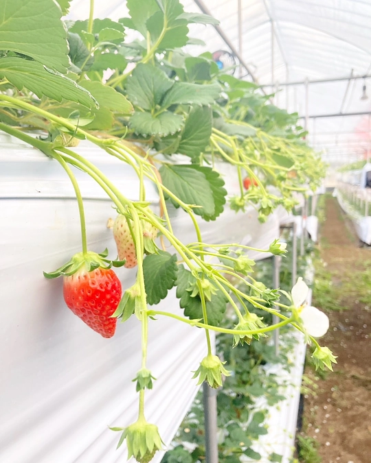 【活動報告㉙】いよいよ皆様にオープンのお知らせです