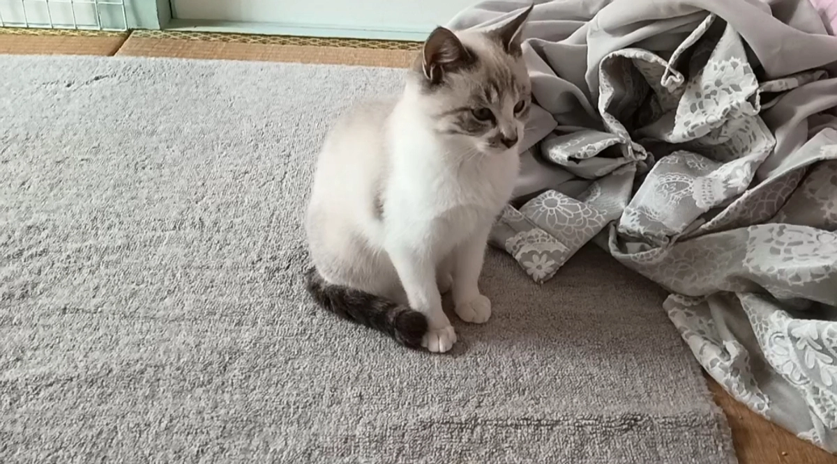 ご縁がありませんでした。