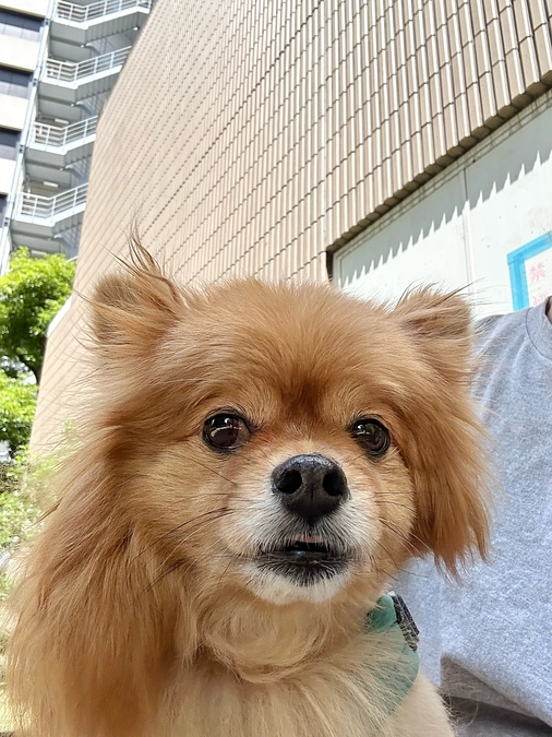 🆘🆘残り12時間🆘🆘