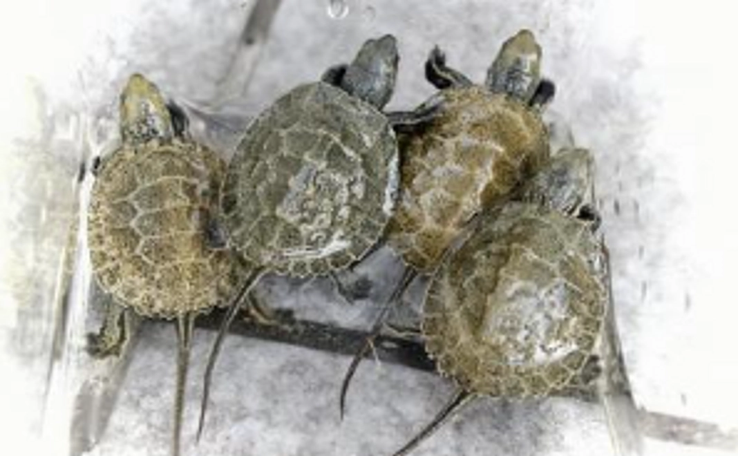 【超お気軽支援コース】　この活動を気軽に応援しよう!!