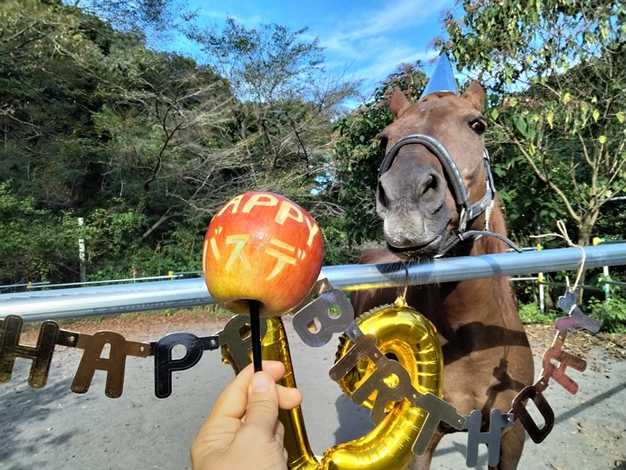 マロンの誕生日パーリー！