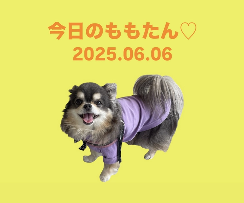 今日のももたん♡2025.06.06