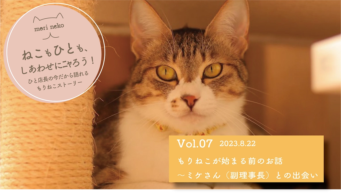 ねこもひとも、しあわせにニャろう！　vol.7
