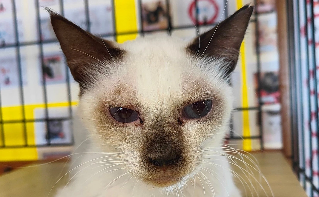 【みなさんの応援が集まって大きな力になります】