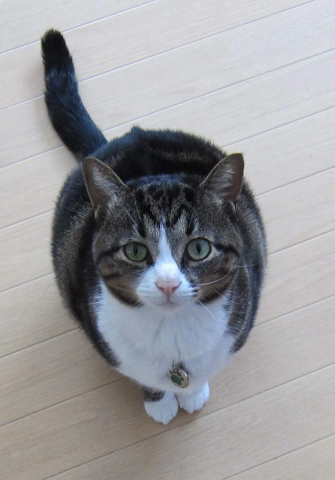 チャリティフリマをいたしました