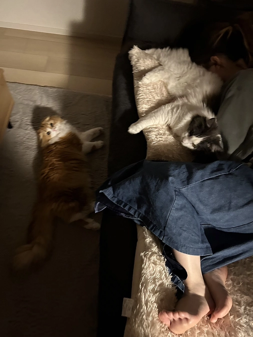 経過観察期間57日目👀✨️