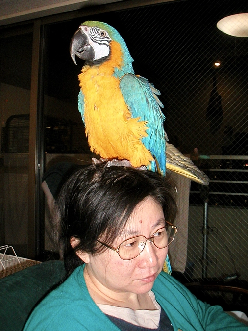 大切なグラちゃんの思い出