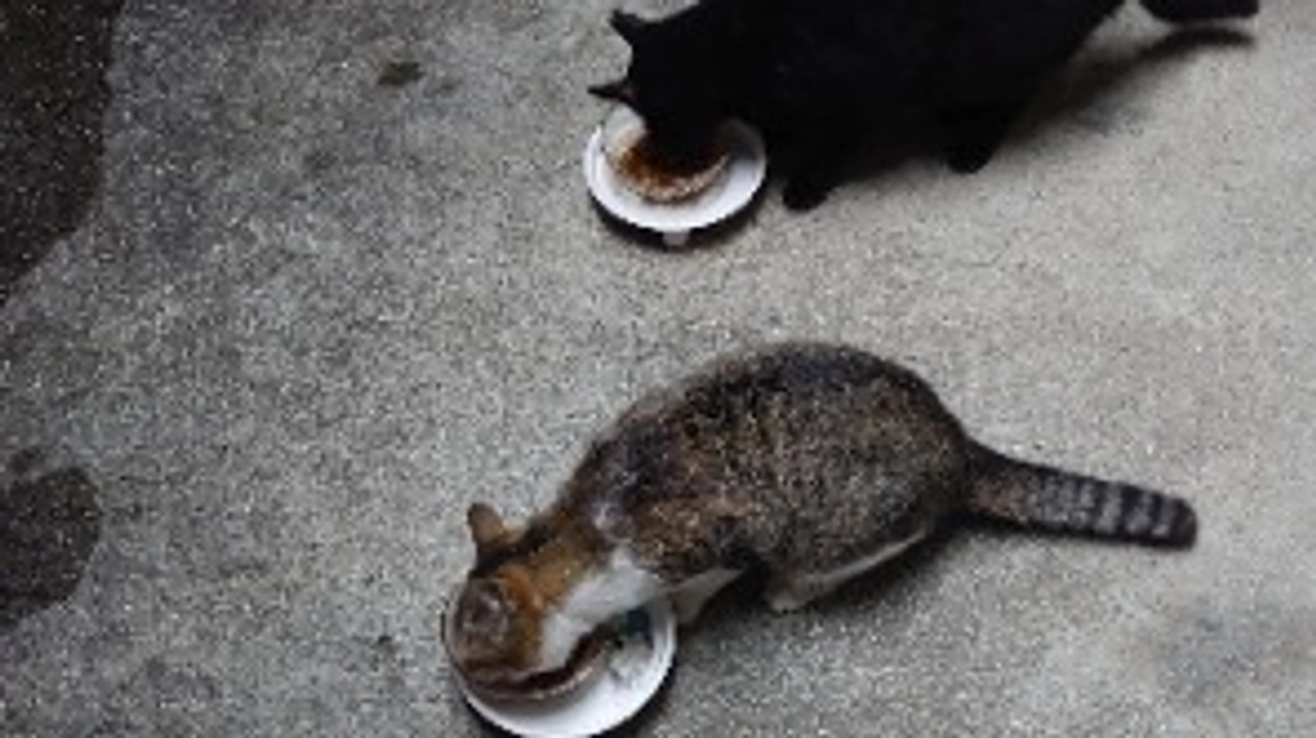 リターンしました。