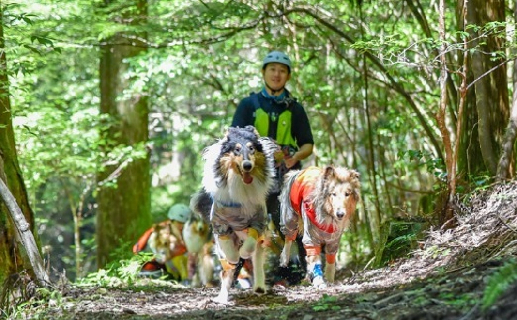【愛犬ご家族向け】「ワンコの森あそび」参加2,000円割引券