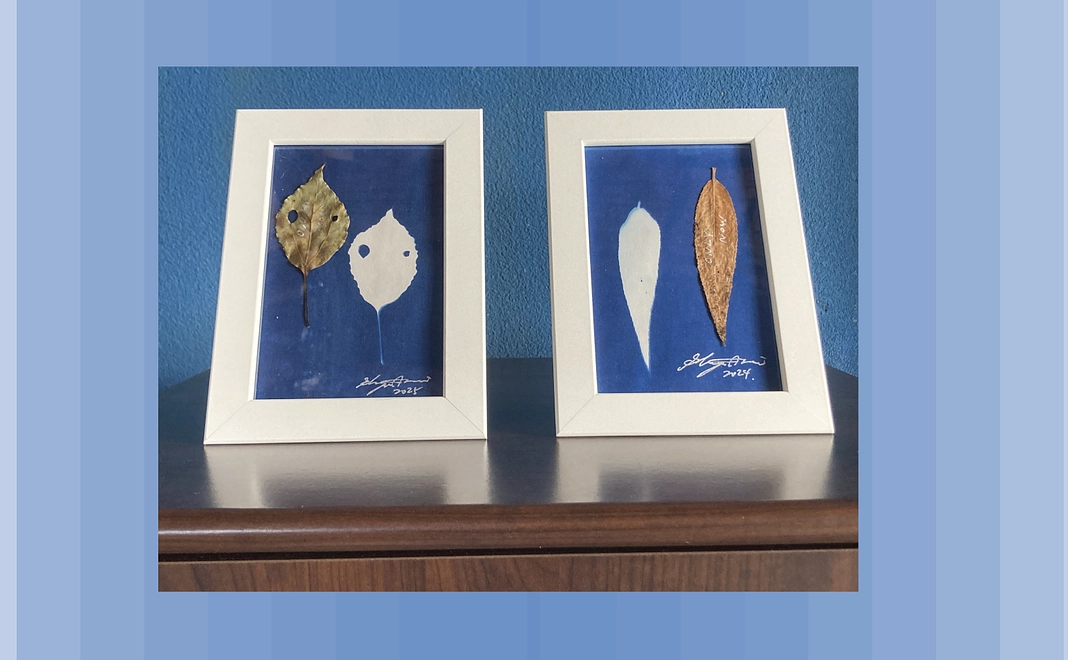 【青写真 小作品】プラン