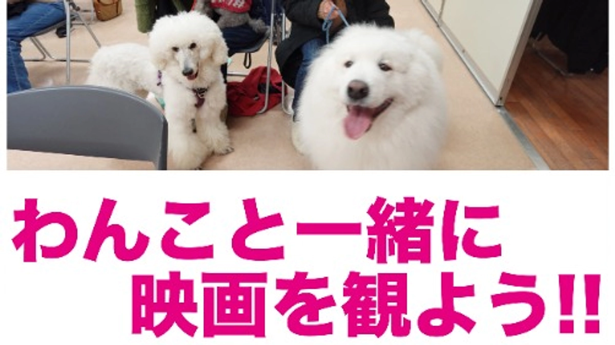 「わんこと一緒に映画を観よう！！」という画期的な企画上映会を実現しました！！
