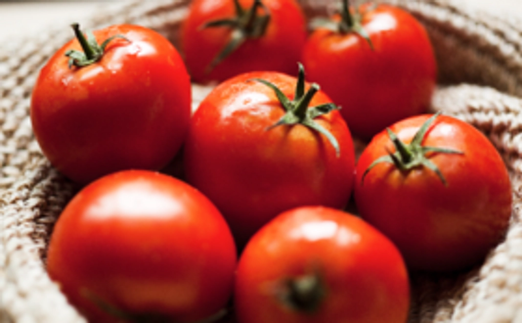 【特別先行販売】五月女農園トマトセット①【20%OFF】