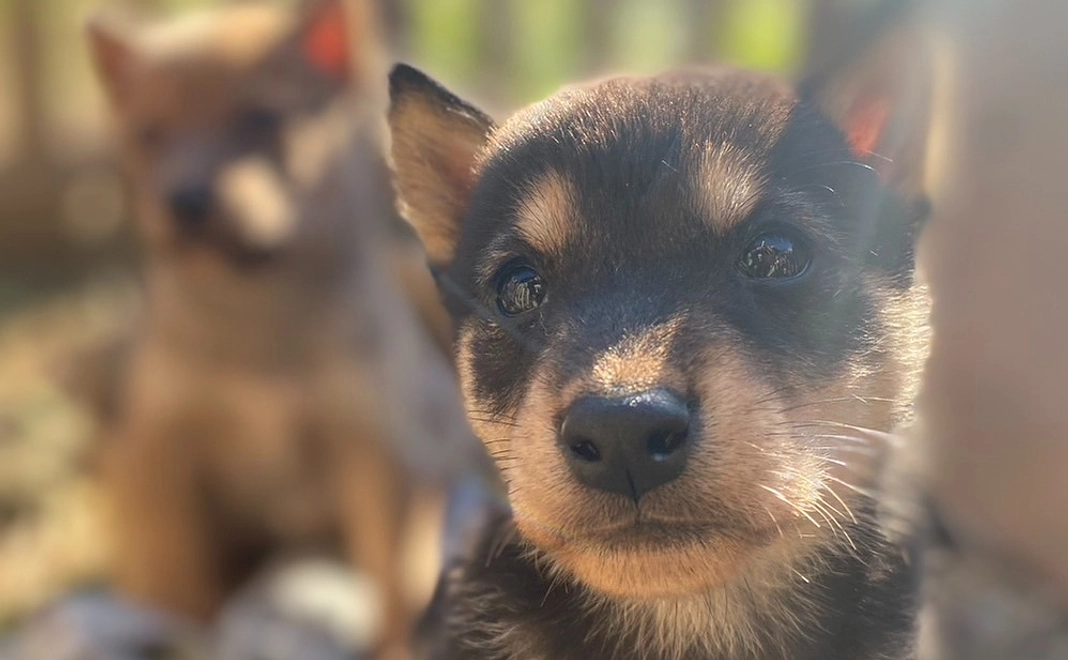 お気持ちコース　