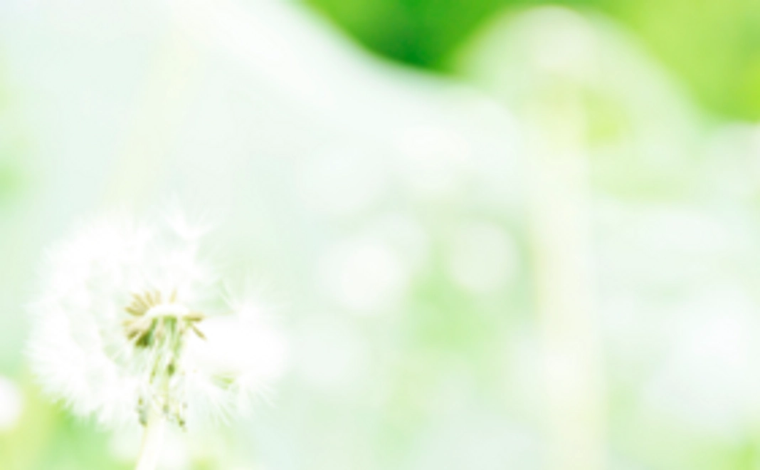 ポストカードを送ります。