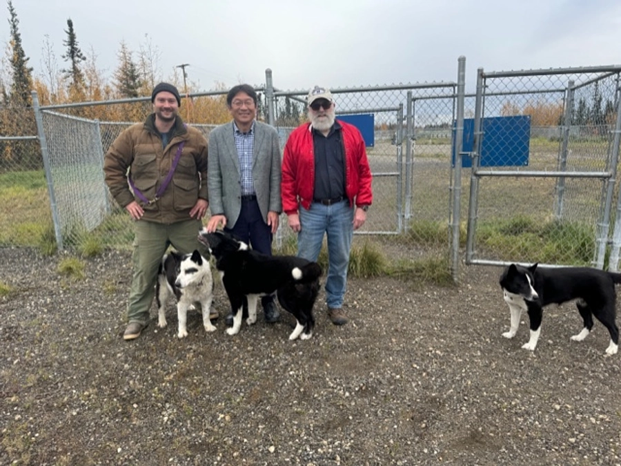 ベアドッグの紹介