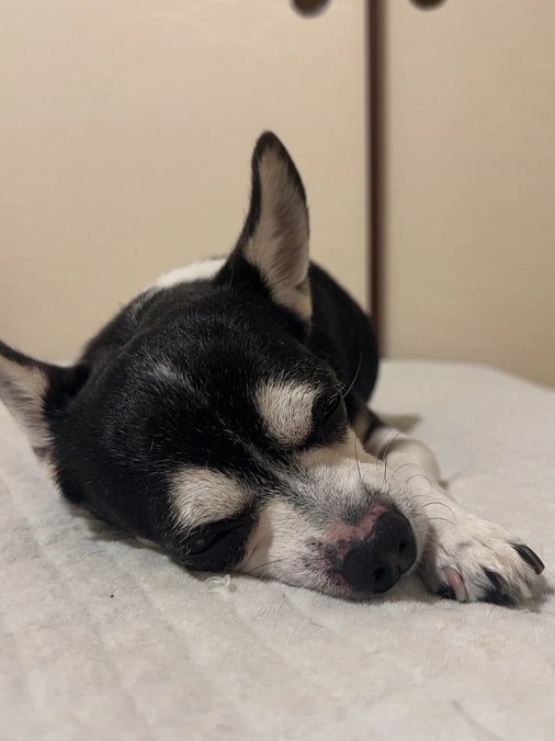 おやすみなさい🌛