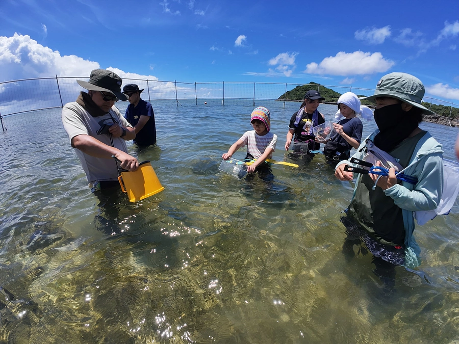 子どもたちと観察に行きました！