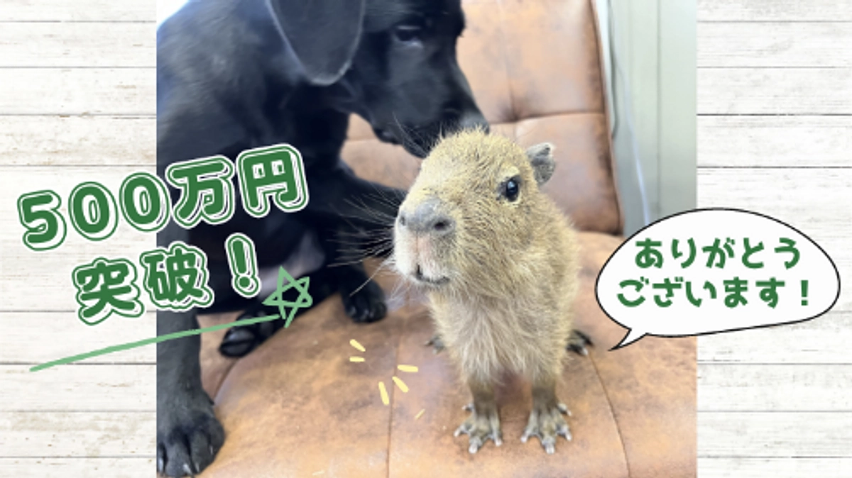 500万円達成！！クラファン応援コメントのご紹介③