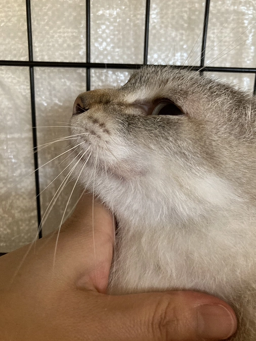 【つくし君】病院へ