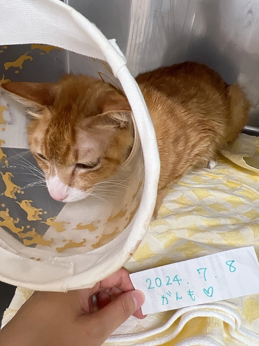 おはようございます！残り3日となりました。